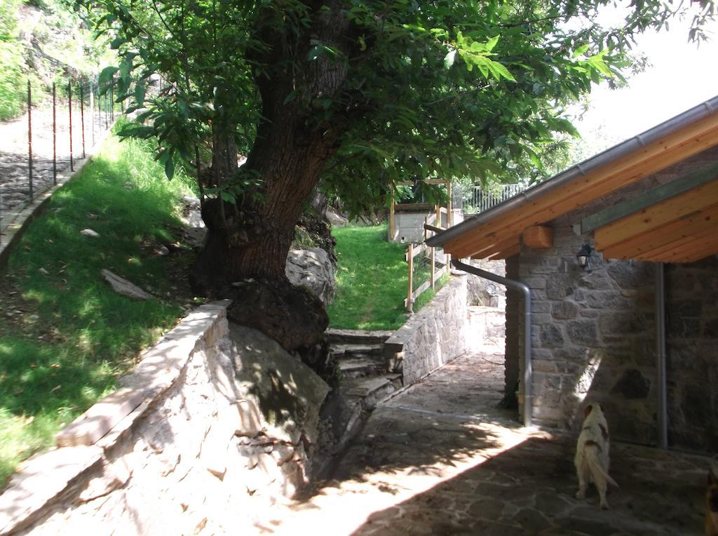 Agriturismo Ai Ronchi 소리코 외부 사진